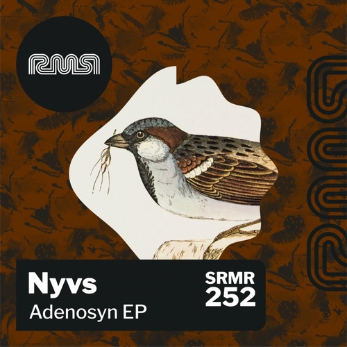 Nyvs - Adenosyn EP [SRMR252]